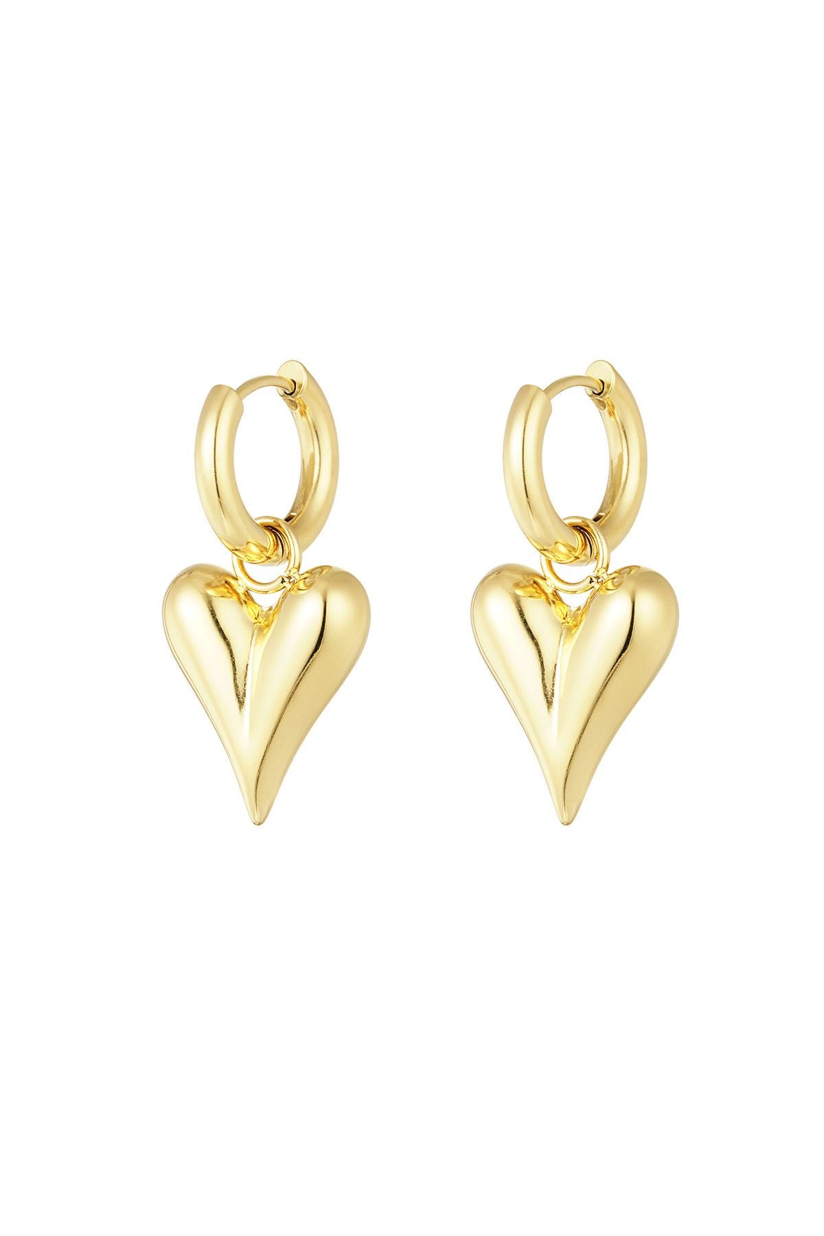 Oorbellen met hart hangers