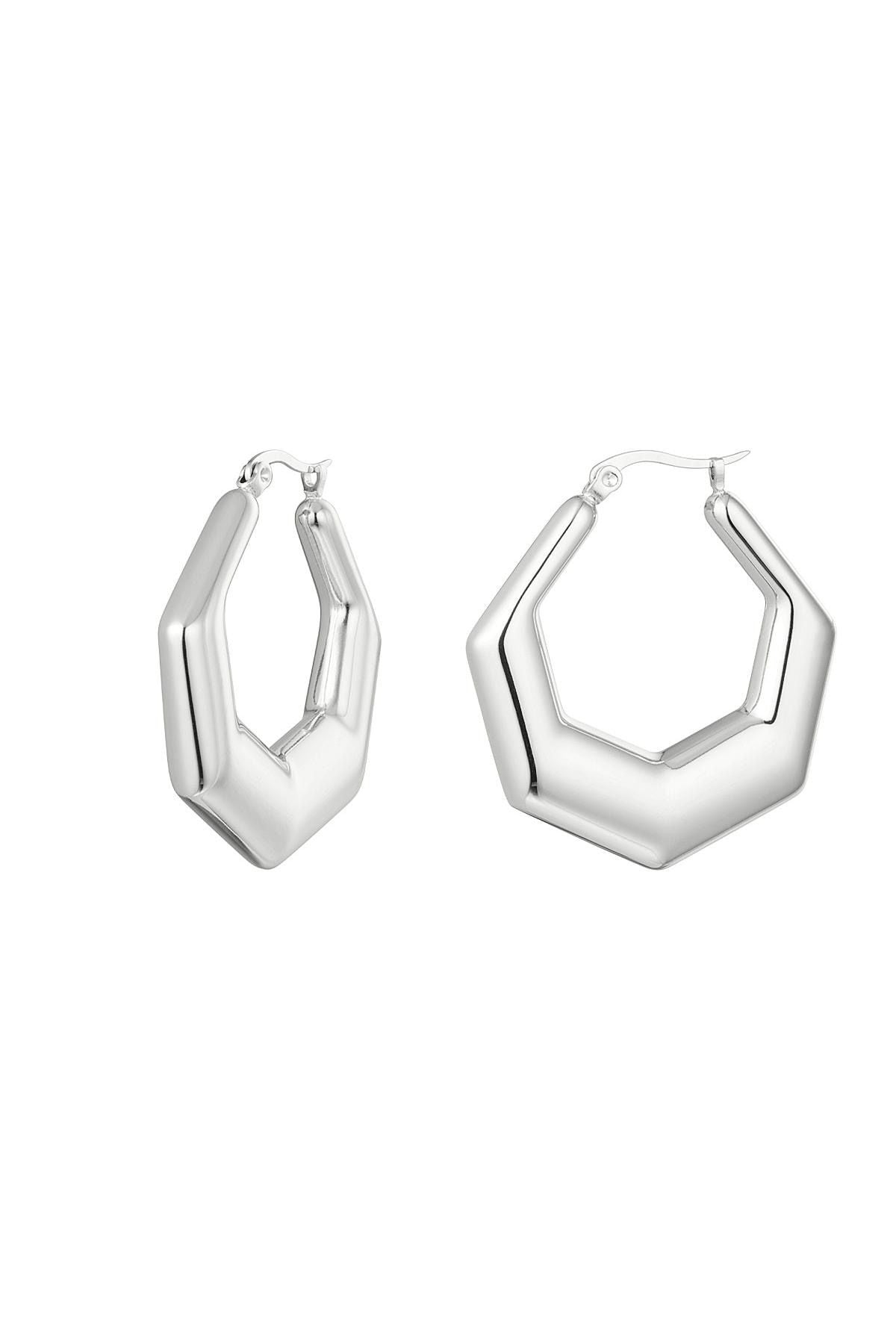 Oorbellen stainless steel zeshoek