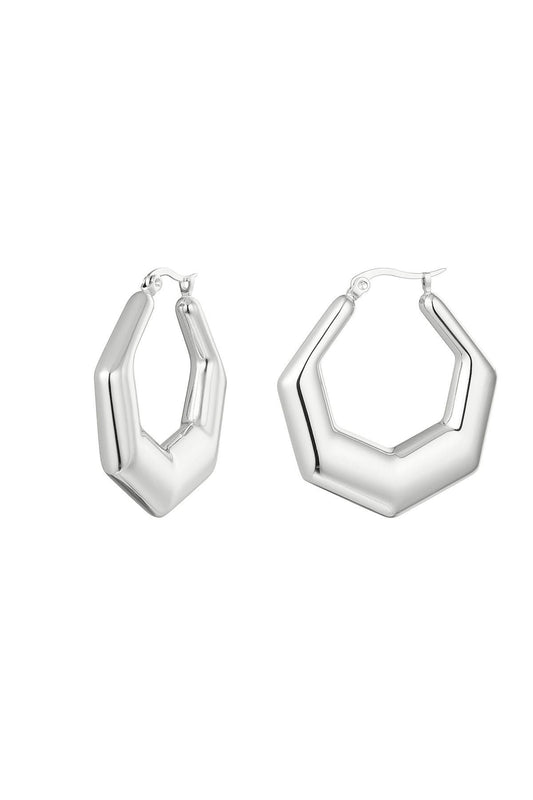 Oorbellen stainless steel zeshoek